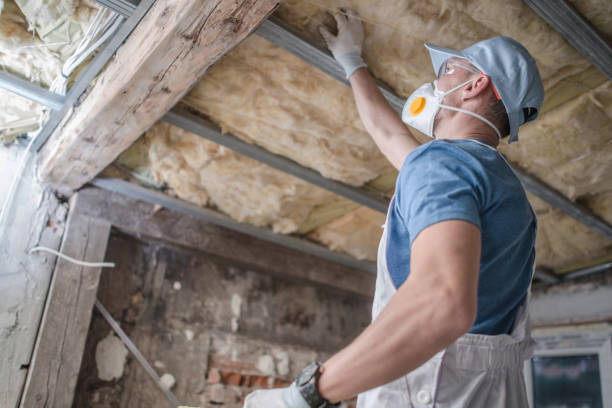 Best Types of Insulation in Putney, GA