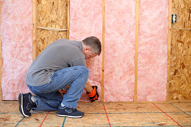 Best Commercial Insulation in Putney, GA